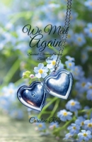 We Meet Again: An Enemies to Lovers Romance (Second Chance Series) B0F3X63TG9 Book Cover