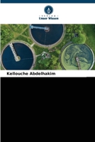 Behandlung Von Städtischen Abwässern 6206989305 Book Cover