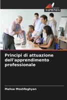 Principi di attuazione dell'apprendimento professionale (Italian Edition) 6208136911 Book Cover