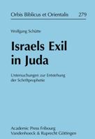 Israels Exil in Juda: Untersuchungen Zur Entstehung Der Schriftprophetie 3727817925 Book Cover