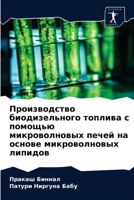 Производство биодизель&# 620337069X Book Cover