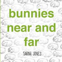 Bunnies Near and Far 1936669226 Book Cover