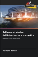 Sviluppo strategico dell'infrastruttura energetica (Italian Edition) 6209853919 Book Cover