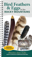 Bird Feathers & Eggs of the Rocky Mountains: Identify 40 Species of Common Backyard Birds 1647556651 Book Cover
