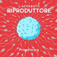 Apparato riproduttore: Classe quinta Scuola Primaria (Libri illustrati per la Scuola Primaria) (Italian Edition) B0HKJDG79H Book Cover