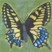 Busy, Busy Butterfly 193291501X Book Cover