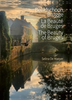 The Beauty of Bruges 9058567176 Book Cover