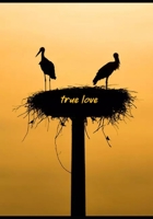 true love: College Ruled Line Paper,, school notebook, unique cover special for girl, women, lades, her birds love 1675979189 Book Cover