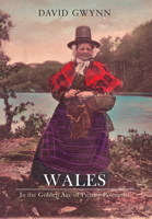 Wales in the golden age of picture postcards 1848683030 Book Cover