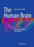 The Human Brain: Prenatal Development and Structure 3642147232 Book Cover