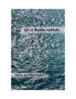 Sea of Broken Mirrors 1934909785 Book Cover