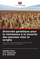 Diversité génétique pour la résistance à la mouche des pousses chez le sorgho (French Edition) 6208377730 Book Cover