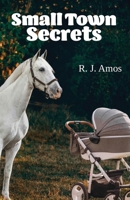 Small Town Secrets 1764503503 Book Cover