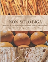 Non solo biga: Manuale di panificazione tra scienza, tecnica e tradizione: Un viaggio tra sapori, saperi e innovazione del pane (Italian Edition) B0FQTS5L8B Book Cover