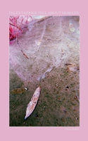 Tales Faeries Tell About Humans 9363311929 Book Cover