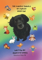 The Curious Travels of Findley: Book One B0FGN6RBHF Book Cover