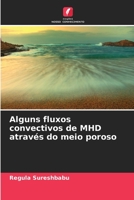 Alguns fluxos convectivos de MHD através do meio poroso 6205340984 Book Cover