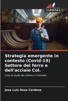 Strategia emergente in contesto (Covid-19) Settore del ferro e dell'acciaio Col. (Italian Edition) 6207876563 Book Cover