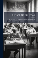 Indice De Pruebas 1147130035 Book Cover