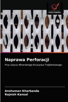 Naprawa Perforacji: Przy Użyciu Mineralnego Kruszywa Trójtlenkowego 6202823488 Book Cover