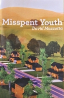 Misspent Youth 0615434215 Book Cover