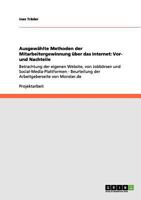Ausgewählte Methoden der Mitarbeitergewinnung über das Internet: Vor- und Nachteile 3656010331 Book Cover