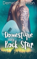 Domestique pour la Rock Star (Romance Île Resort) (French Edition) B0F1R42XBX Book Cover