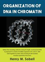 Organization of DNA in Chromatin B0BTRTXSW7 Book Cover