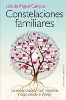 Constelaciones Familiares 8415968256 Book Cover