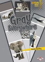Gray Everywhere 0761360476 Book Cover
