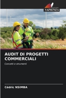 Audit Di Progetti Commerciali (Italian Edition) 6209711987 Book Cover