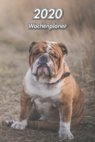 2020 Wochenplaner: Englische Bulldogge - 107 Seiten, 15cm x 23cm ca. A5 - Taschenkalender - Terminplaner - Tagebuch - Terminkalender - Organizer f�r Hundeliebhaber 167222540X Book Cover
