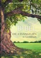 Die Bibel nach Hermann Menge: Die 4 Evangelien in GroÃŸdruck 3985000956 Book Cover