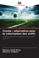 Favela: alternative pour la valorisation des actifs (French Edition) 6209566030 Book Cover