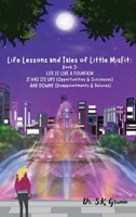 Life Lessons and Tales of Little MisFit: LIFE IS LIKE A FOUNTAIN - IT HAS UPS (Opportunities and Successes) AND DOWNS (Disappointments and Failures) B0DVJ467RQ Book Cover