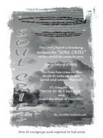 Soul Cries: How to recognize and respond to lost souls B0GV458BYK Book Cover