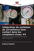 Intégration de systèmes de surveillance sans contact dans les compteurs d'eau. P3 6205600757 Book Cover