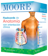 Moore. Flashcards de Anatomia 8410022206 Book Cover