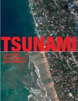 Tsunami: The Most Terrifying Disaster 1844424111 Book Cover