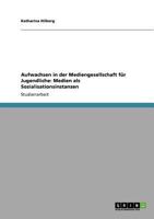 Aufwachsen in der Mediengesellschaft für Jugendliche: Medien als Sozialisationsinstanzen 3640908791 Book Cover