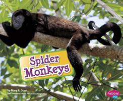 Spider Monkeys 1620651041 Book Cover