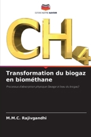 Transformation du biogaz en biométhane (French Edition) 6200059217 Book Cover