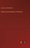 Stambul und das Moderne Türkenthum 3386415962 Book Cover