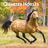 Quarter Horses 2026 12 X 24 Inch (Hanging) Monthly Square Wall Calendar Plastic-Free B0DYL1TGLC Book Cover