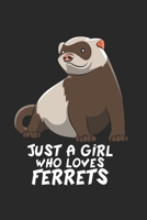 Frettchen Notizbuch: Frettchen Notizbuch f�r Liebhaber / Notizheft / Notizblock A5 (6x9in) Dotted Notebook / Punkteraster / 120 gepunktete Seiten 1671310330 Book Cover