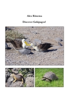 Discover Galápagos! 1678058831 Book Cover