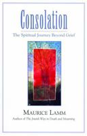 Consolation: The Spiritual Journey Beyond Grief 0827608152 Book Cover