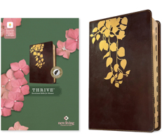 NLT Thrive Devotional Bible for Women, Filament Enabled (Leatherlike, Cascade Deep Brown, Indexed) B0FVTV21XT Book Cover