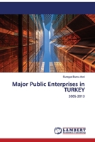 Major Public Enterprises in TURKEY: 2005-2013 6202521821 Book Cover
