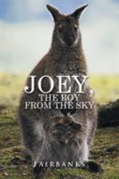 Joey, the Boy from the Sky 1524516376 Book Cover